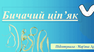 Презентація з біології: Бичачий ціп'як