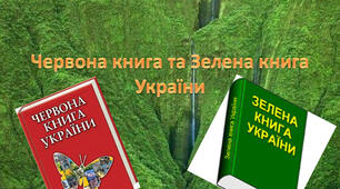 Антропічний вплив на біорізноманіття. Проблеми акліматизації та реакліматизації видів. Збернеження видів як необхідна умова збереження біосфери