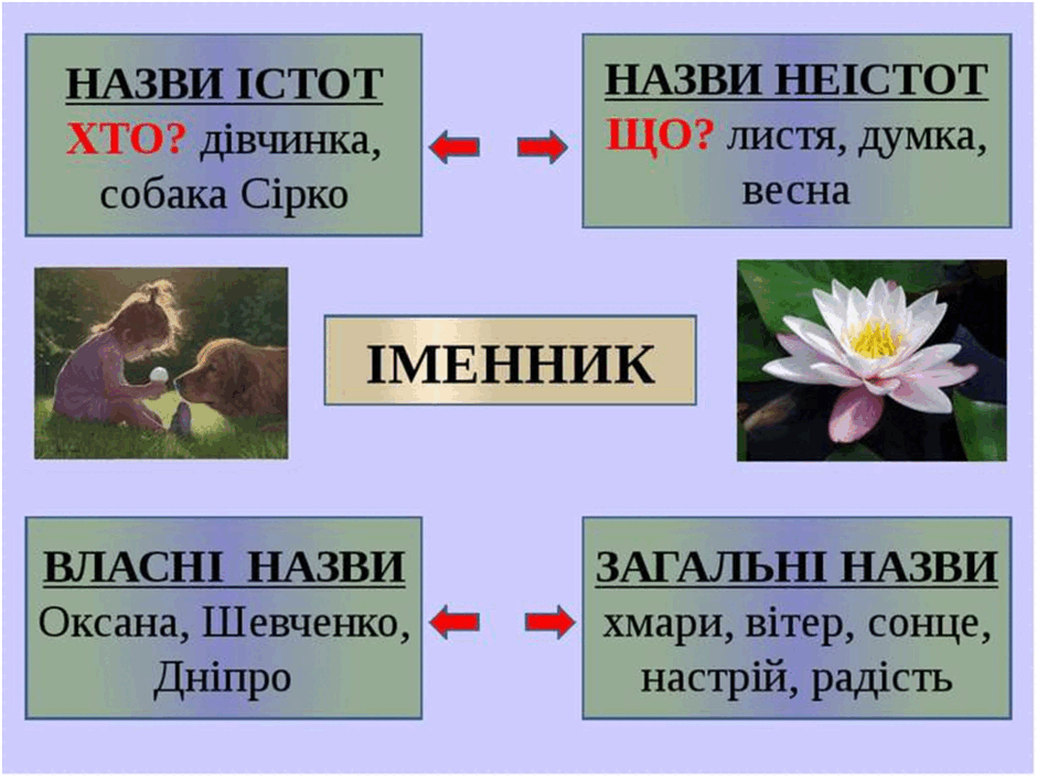 06015p97-716f-940x705.png