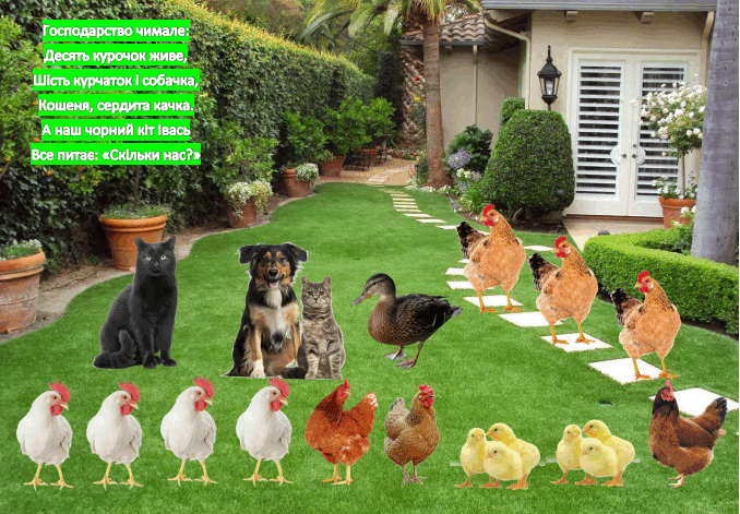 06015pg8-277f-678x471.png