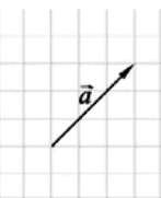 06015pid-d6ee-147x181.png