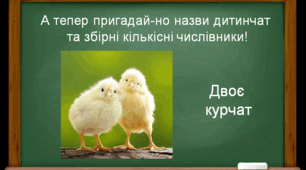 Корекційні вправи до теми «Числівник»