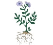 06015qmy-b6dd-109x93.png