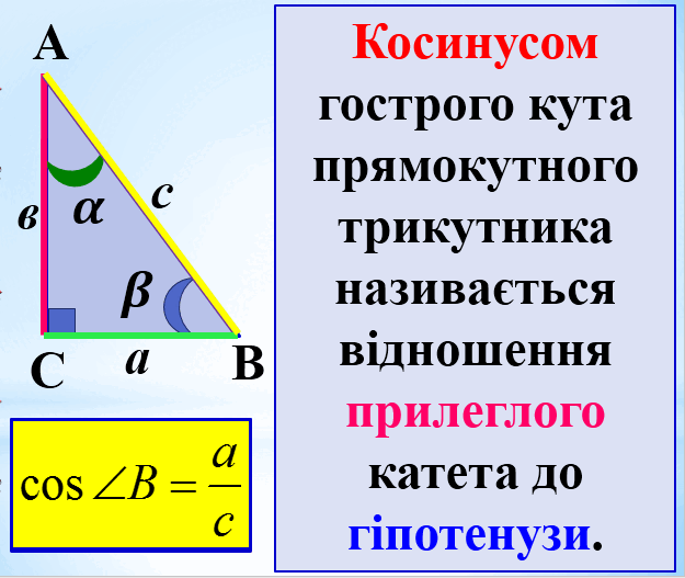 06015rvn-2293-625x527.png