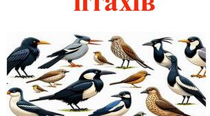 Розфарбовки та каліграфічні хвилинки до "Дня птахів"