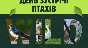 Екологічна вікторина до Дня зустрічі птахів