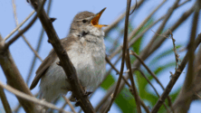 06015t1o-e96b-222x125.png