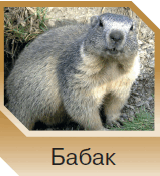 06015t9t-0f83-160x176.png