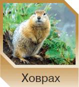 06015ta2-2871-158x174.png