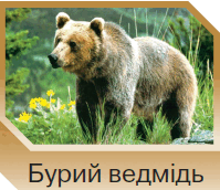 06015tac-93ad-199x172.png