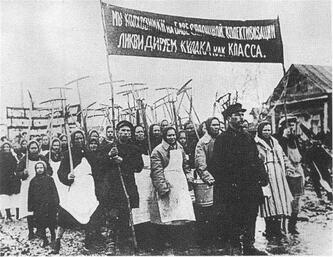 Collectivization