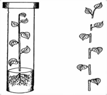 06015u62-0876-218x194.png