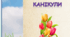 Пам'ятка на весняні канікули