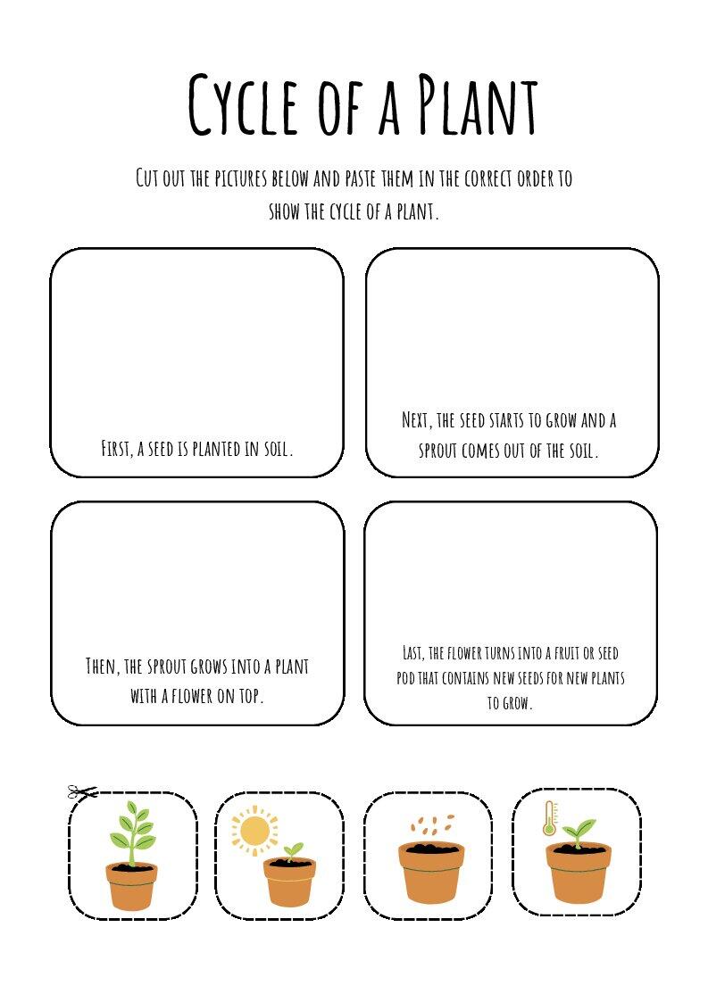 SPRING - Cycle of a Plant | Інтерактивні матеріали. Англійська мова
