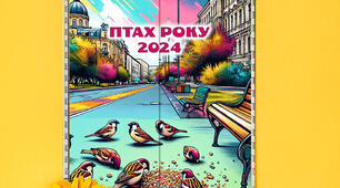 Лепбук про птахів. Лепбук "Птах року 2024"