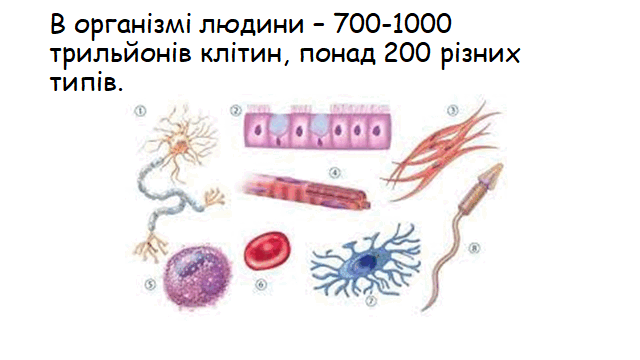 06016007-a022-640x360.png
