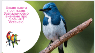 Цікаві факти про птахів. Узагальнюємо вивчене про ділення з остачею