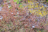 060162r9-ca60-198x131.png