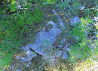 060162rh-a332-198x144.png