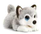 0601631w-6719-134x112.png