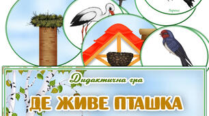 Дидактична гра "Де живе пташка"