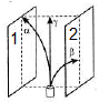 060166ig-2716-203x210.png