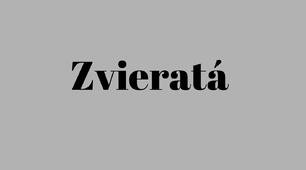 Ілюстрований словник «Тварини» «Zvieratá»