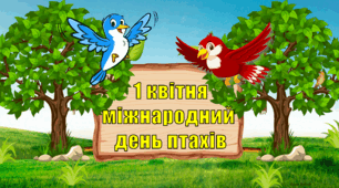 Презентація "Міжнародний день птахів "