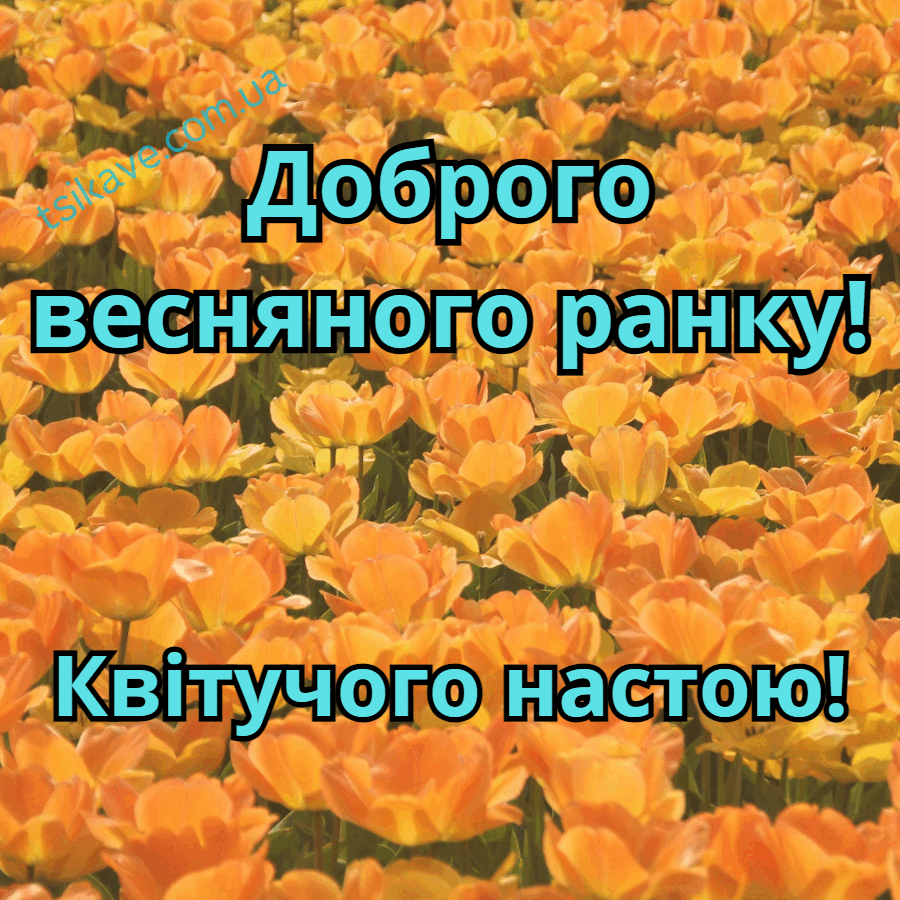 Доброго весняного ранку картинки