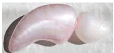 060169g2-e2d5-449x211.png