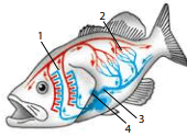 060169l5-c052-170x125.png