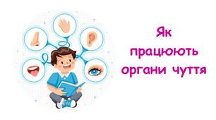 Презентація на тему: " Як працюють органи чуття" 5 клас НУШ