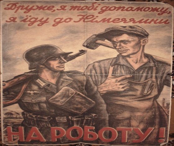 06016bem-9ed6-559x470.png