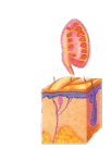06016bp6-107a-102x137.png