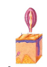 06016bpe-0cef-96x137.png