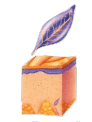 06016bpq-426d-92x122.png