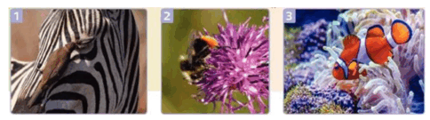 06016cfx-8795-484x135.png