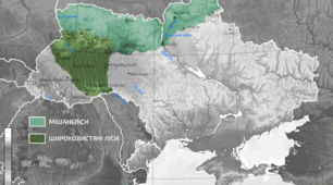 Зони мішаних і широколистяних лісів