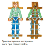 06016cpz-a17e-264x259.png