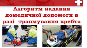 Алгоритм надання домедичної допомоги в разі  травмування хребта