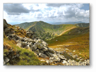 06016dvg-c921-194x145.png