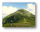 06016dzj-e044-139x110.png