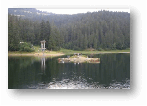 06016e5z-533c-300x217.png
