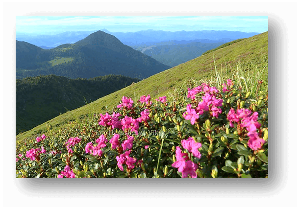 06016e76-01dd-612x429.png