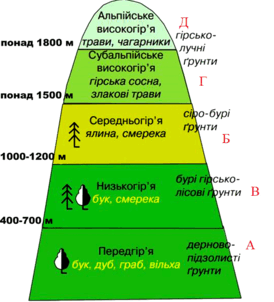06016e8x-a2d1-274x302.png