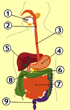 06016exm-b5a1-235x370.png