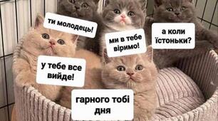 Складні речення з різними видами сполучникового і безсполучникового зв’язку.