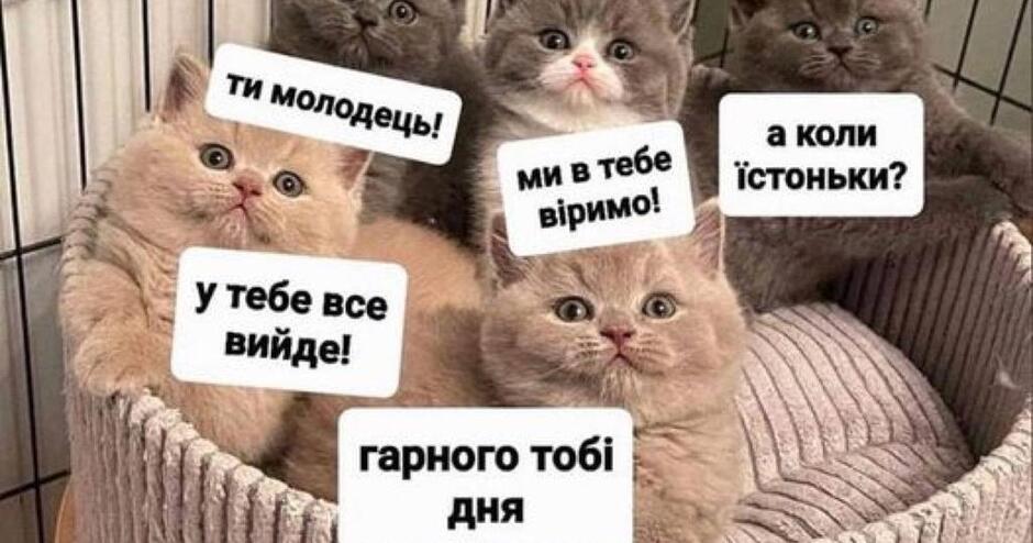 Складні речення з різними видами сполучникового і безсполучникового зв'язку. | Урок на 4 завдання. Українська мова