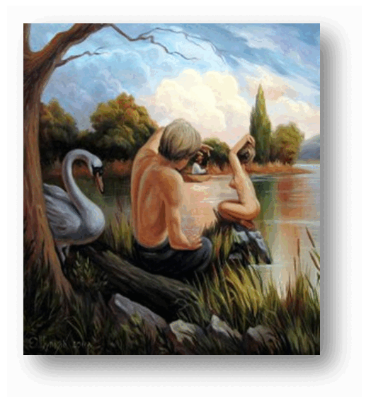 06016kdf-771a-517x567.png
