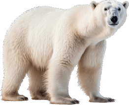 06016lw1-3b0a-262x212.png